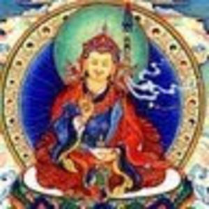 Meet your Posher, Sergio